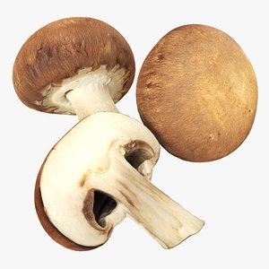 3D model Brown cap mushrooms