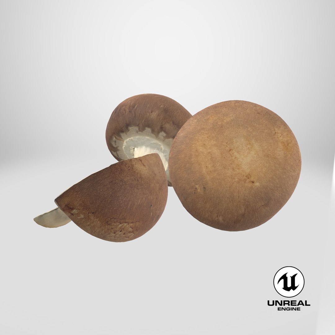 3D model Brown cap mushrooms https://p.turbosquid.com/ts-thumb/1l/WbDeui/fS/stemcell_unreal_render/png/1739893710/1920x1080/fit_q87/20db9caeff9df649a7f40844545fdc2954e79dae/stemcell_unreal_render.jpg