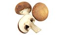 Brown cap mushrooms