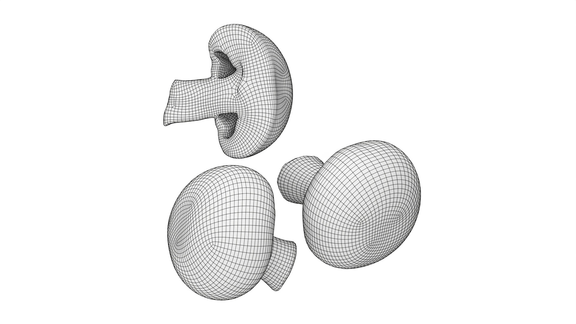 3D model Brown cap mushrooms https://p.turbosquid.com/ts-thumb/1l/WbDeui/hv/007/jpg/1739799440/1920x1080/fit_q87/3ce8218cc049219b5d15344fe5e668fa23a6c4c2/007.jpg