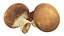 Brown cap mushrooms