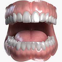 Human Mouth