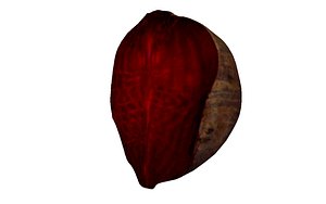 half beet 3D model