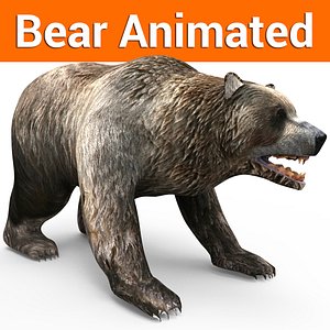 3D model brown bear animation