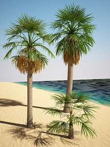 3d model washingtonia palm