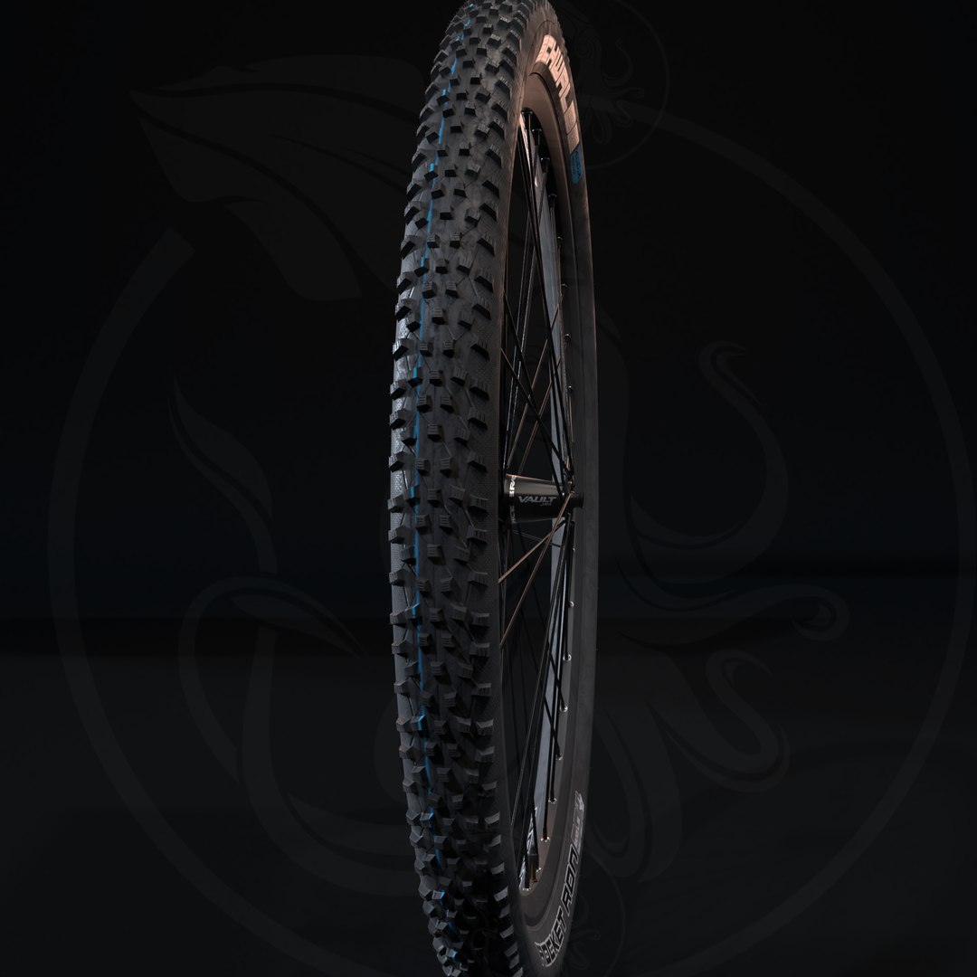 3D Schwalbe Tire Rocket Ron 29x2.25 57-622 Addix Speedgrip model https://p.turbosquid.com/ts-thumb/1m/DzWh4o/5n/render13/png/1637666625/1920x1080/fit_q87/35ba6b760d525e4f8d6d9af810c9dc2c1b542c76/render13.jpg