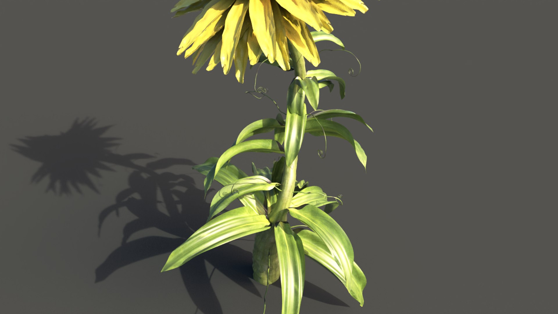 3D model fantasy plant https://p.turbosquid.com/ts-thumb/1m/ErcZ2x/o0/500000/png/1652024000/1920x1080/fit_q87/8fc882c90d55f6867f43b875846c6b5dd59b7fff/500000.jpg