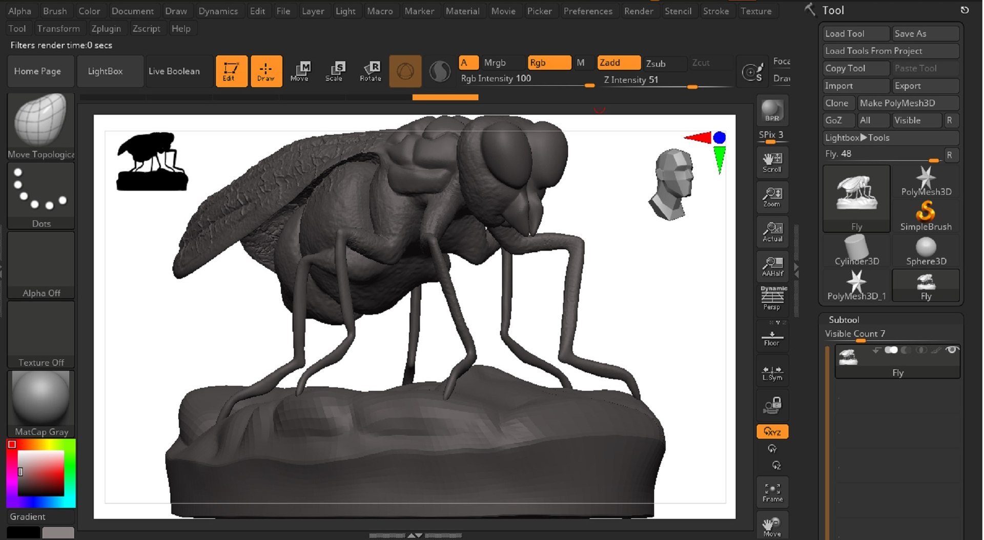 Fly 3D Model - TurboSquid 1850298