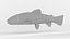 Trout Fish