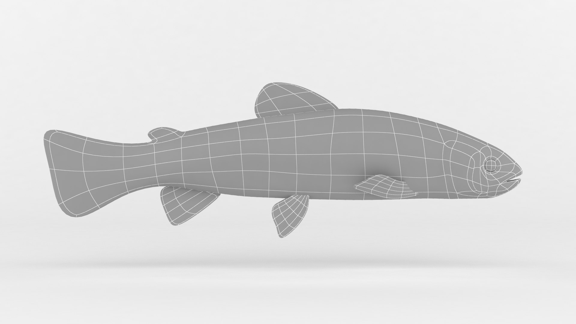 3D Trout Fish https://p.turbosquid.com/ts-thumb/1m/Pnpgyo/Te/10000/png/1625210654/1920x1080/fit_q87/2dc8358224189a2a4361e4c1055e4df61b763061/10000.jpg