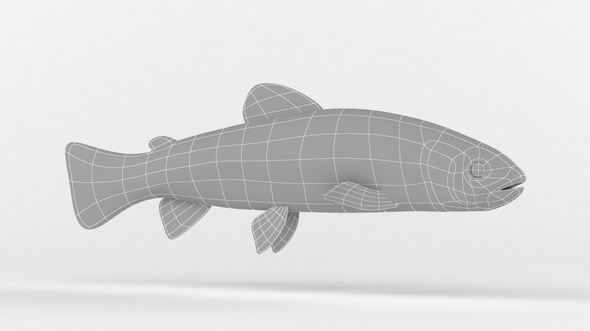 3D Trout Fish https://p.turbosquid.com/ts-thumb/1m/Pnpgyo/iZ/10001/png/1625210632/1920x1080/fit_q87/0a8fdc1198b554e7bd7c44492118c2b1bab5d63b/10001.jpg