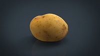 Potato