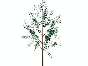 trees 3d model