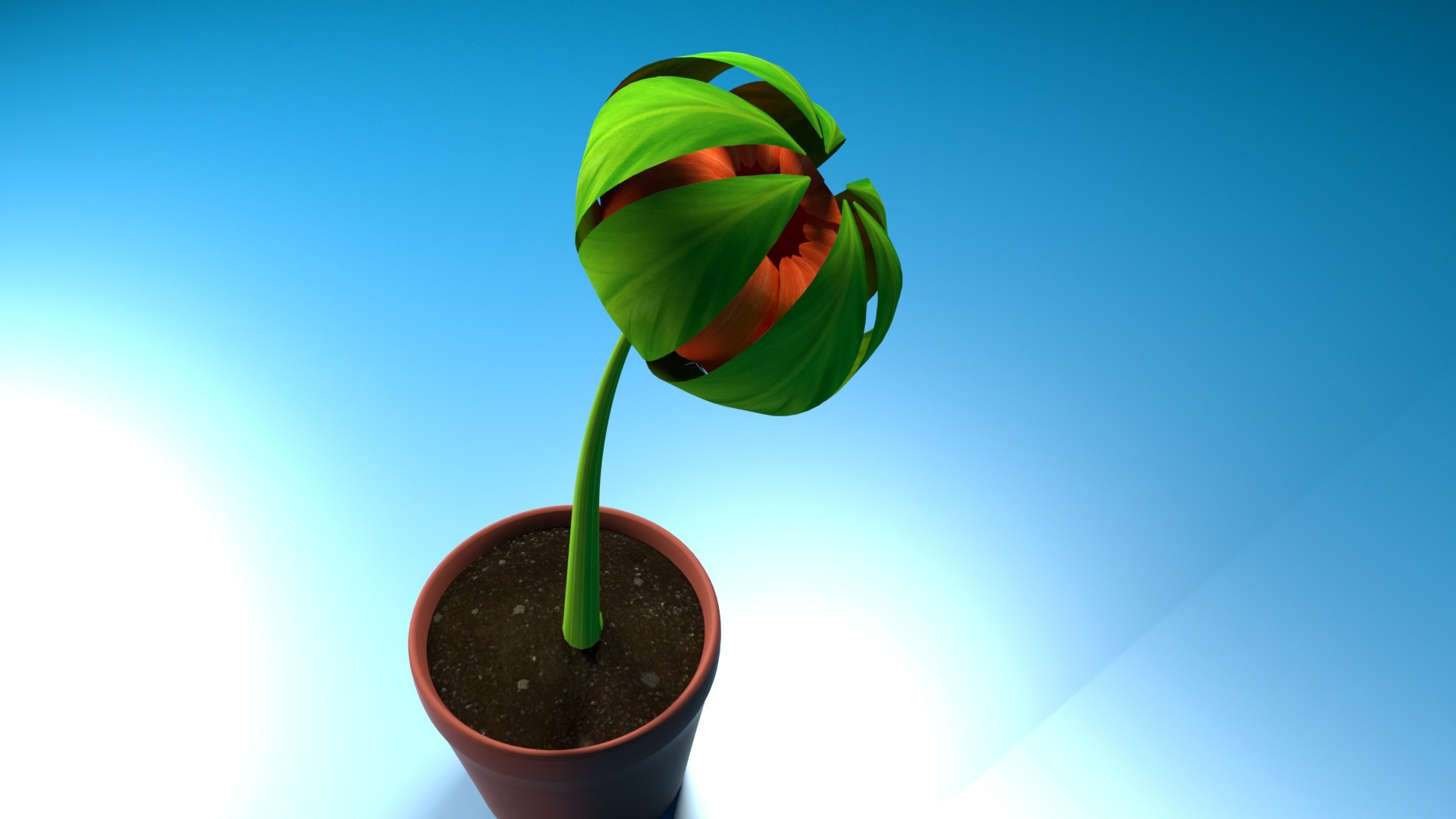 3D rigged daisy red flower https://p.turbosquid.com/ts-thumb/1m/t9YiWG/85v27LUQ/1_0125/jpg/1600381711/1920x1080/fit_q87/7c26e941522a9df38fdad54ccd11d529a3d44fac/1_0125.jpg