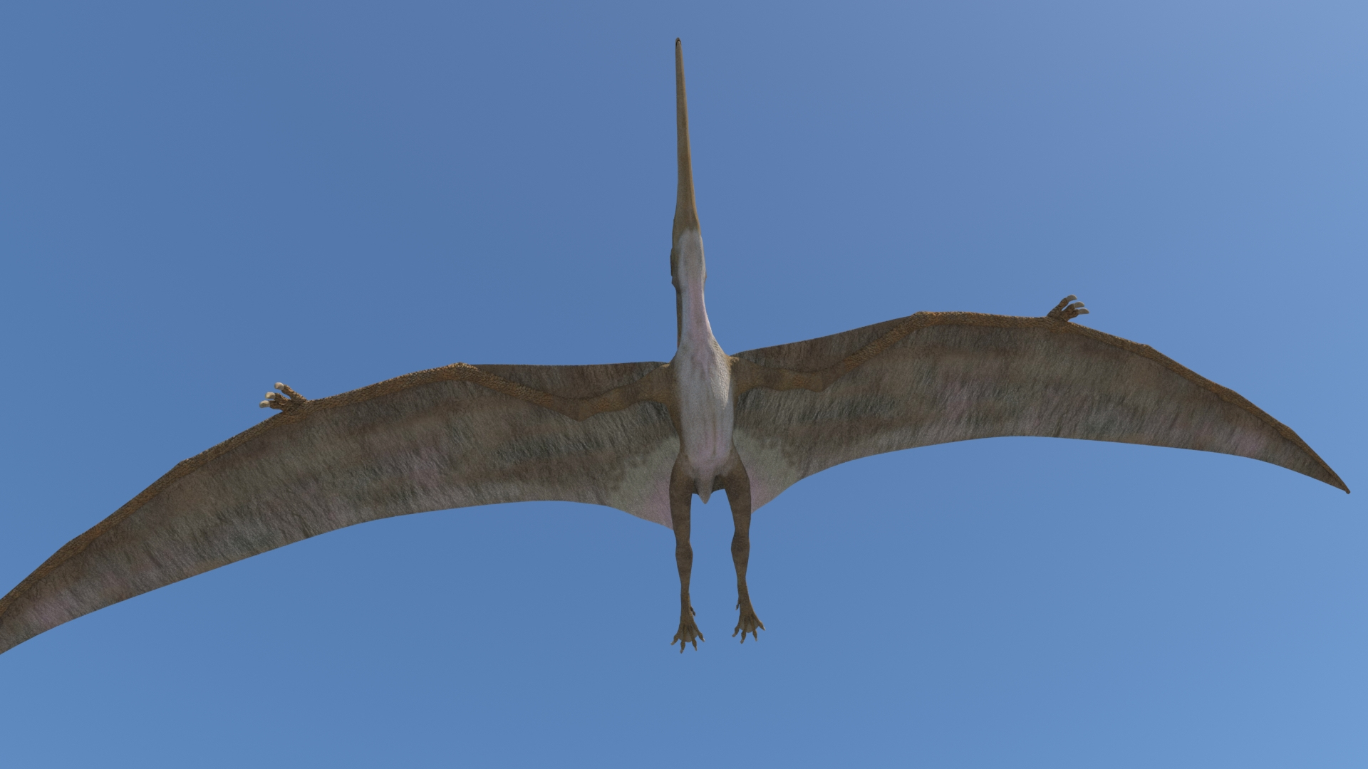 pteranodon 3d