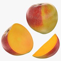 Mango 01 Collection 4