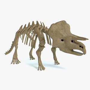 triceratops skeleton 3d 3ds