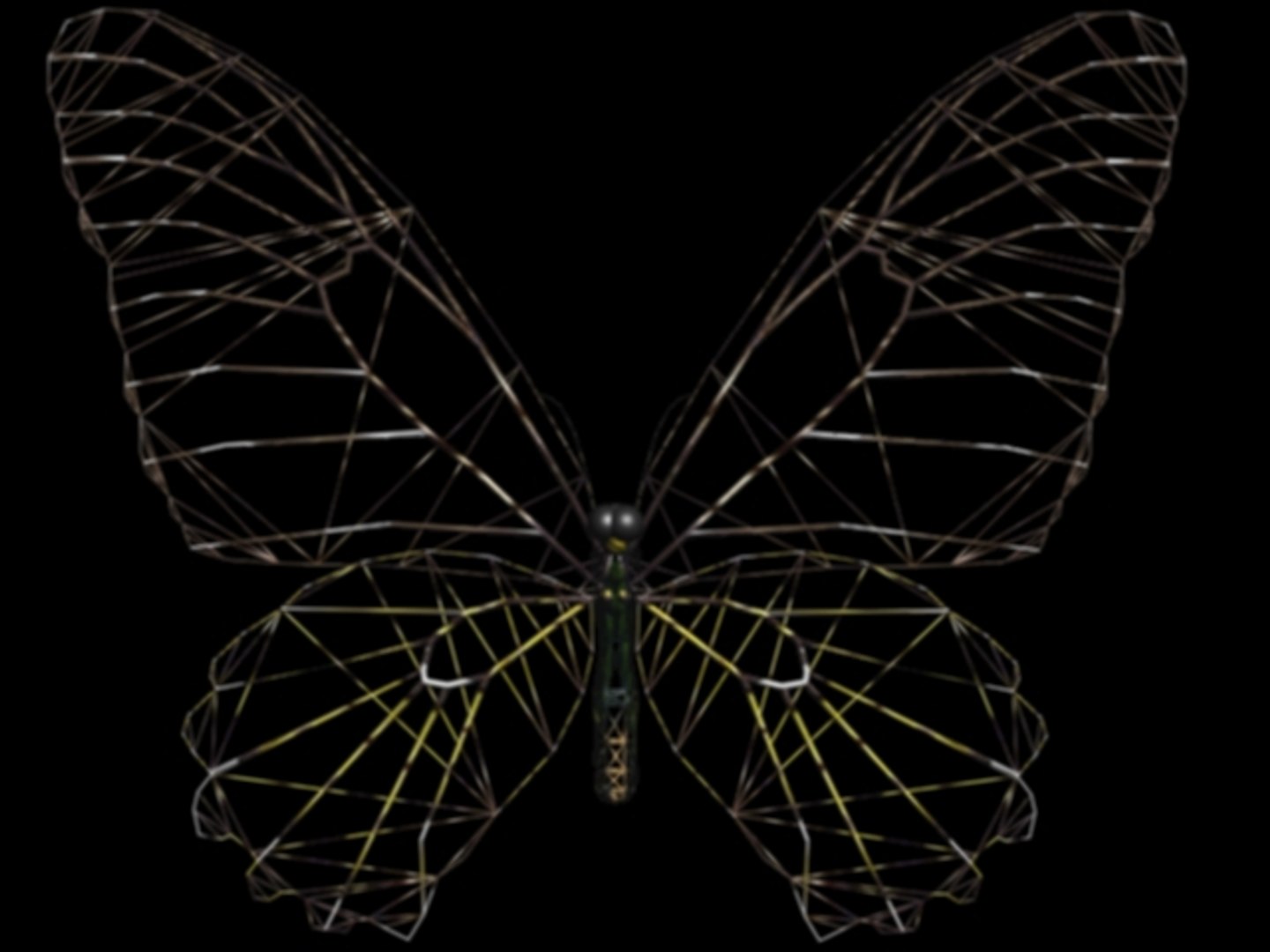 bird wing butterfly flapping 3d model https://p.turbosquid.com/ts-thumb/1n/21g7Rs/m56VozT3/top_wire/jpg/1032726272/1920x1080/fit_q87/4f9bf9e3c0b39598a6c56b759cf7b0b4d5ce7136/top_wire.jpg