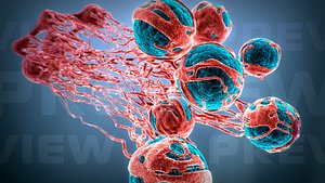 Cancer Growth 2 Static Hipoly 3D model