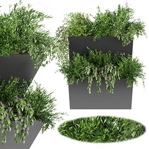 Collection plant vol 70 3D model