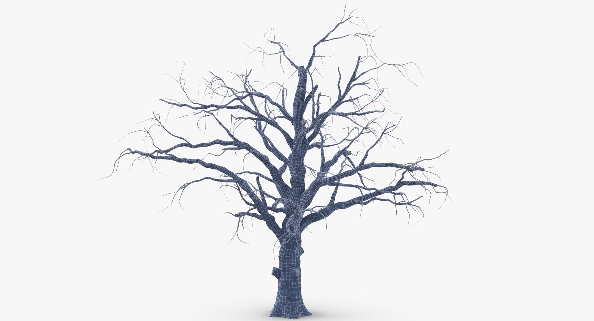 3 old dead trees c4d