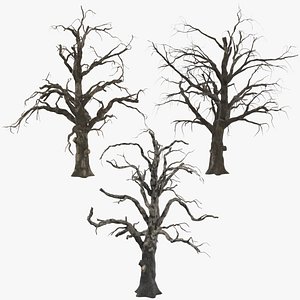 3 old dead trees c4d