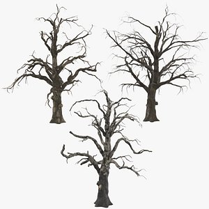 3 Old Dead Trees