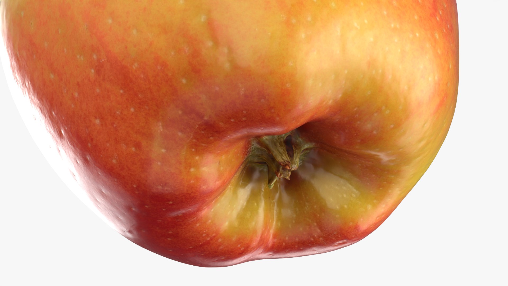 3D Ambrosia Apple 01 https://p.turbosquid.com/ts-thumb/1n/ACkvM0/VK/appleambr01_0005/png/1761738805/1920x1080/fit_q87/13b456327182dcd19e00685a46c47afda886e47a/appleambr01_0005.jpg
