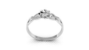 3D Jewelry silver ring based on flowers 3D print model model