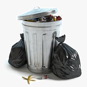Garbage Can and Bags