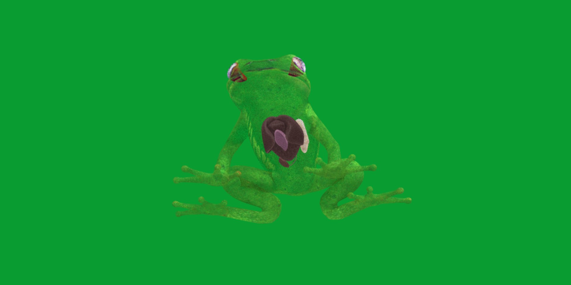3D Glass Frog - TurboSquid 2378064