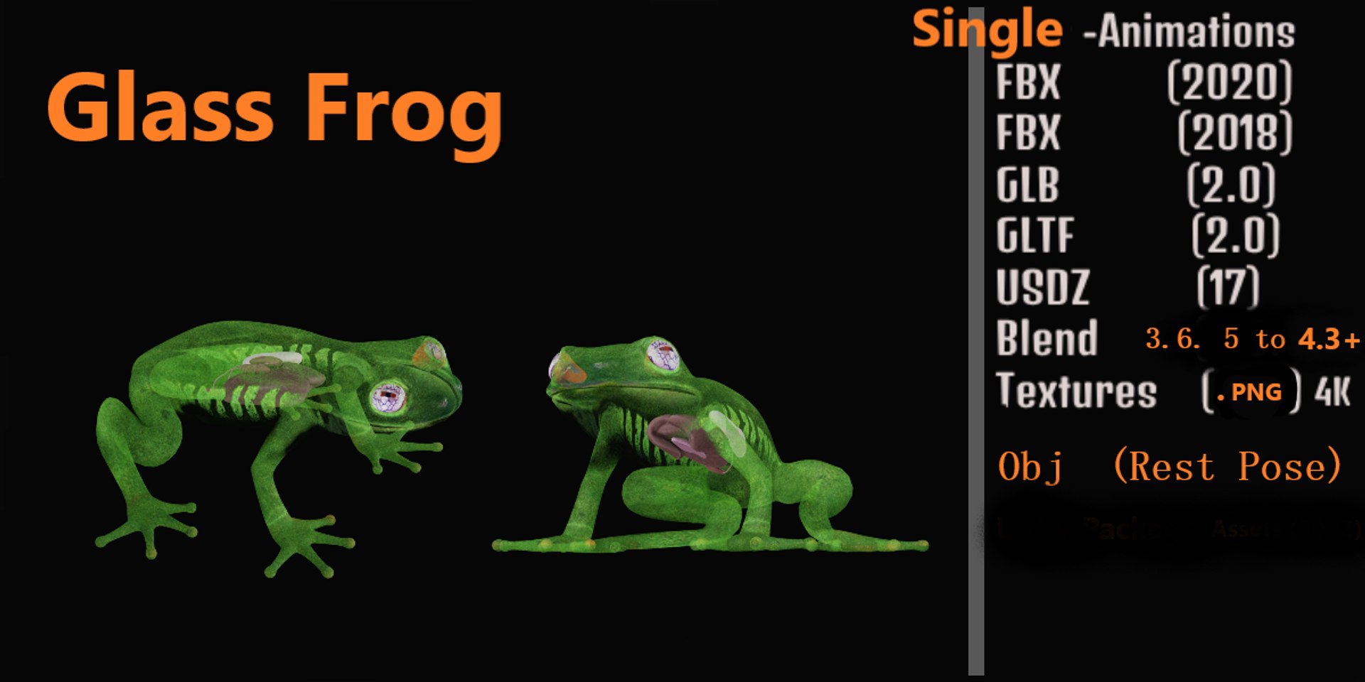 3D Glass Frog - TurboSquid 2378064