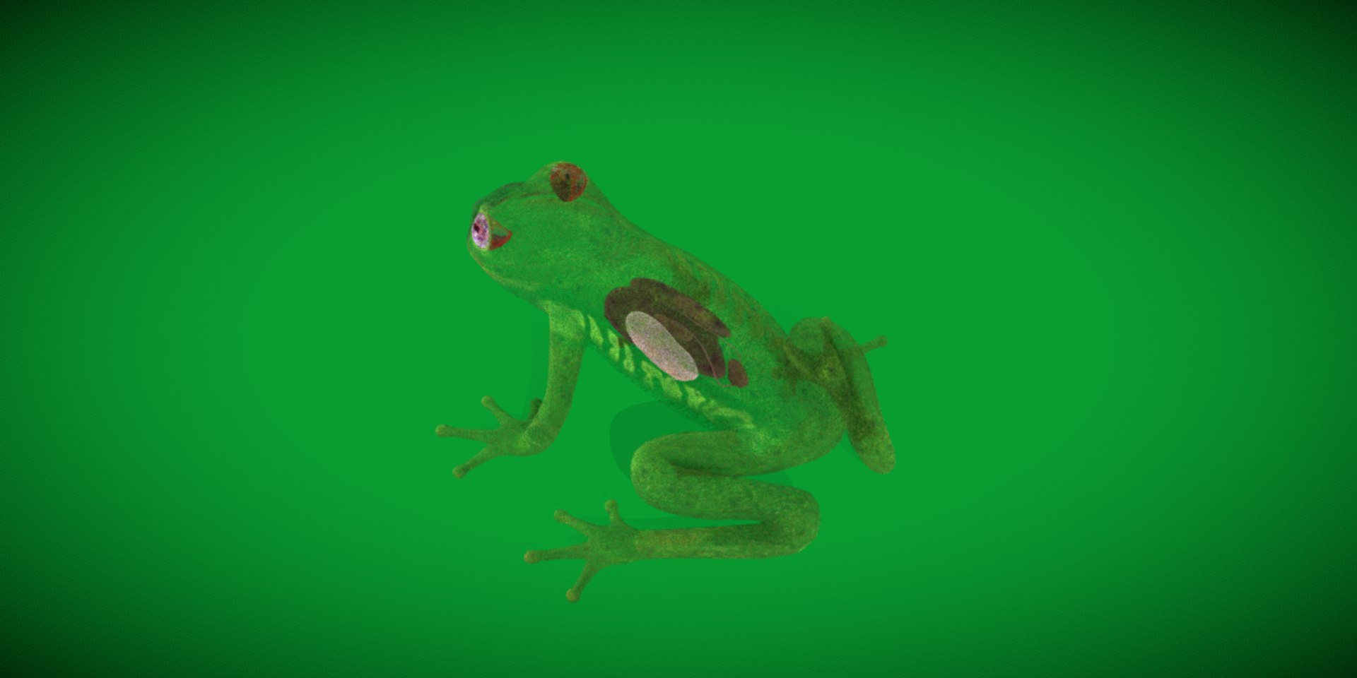 3D Glass Frog - TurboSquid 2378064