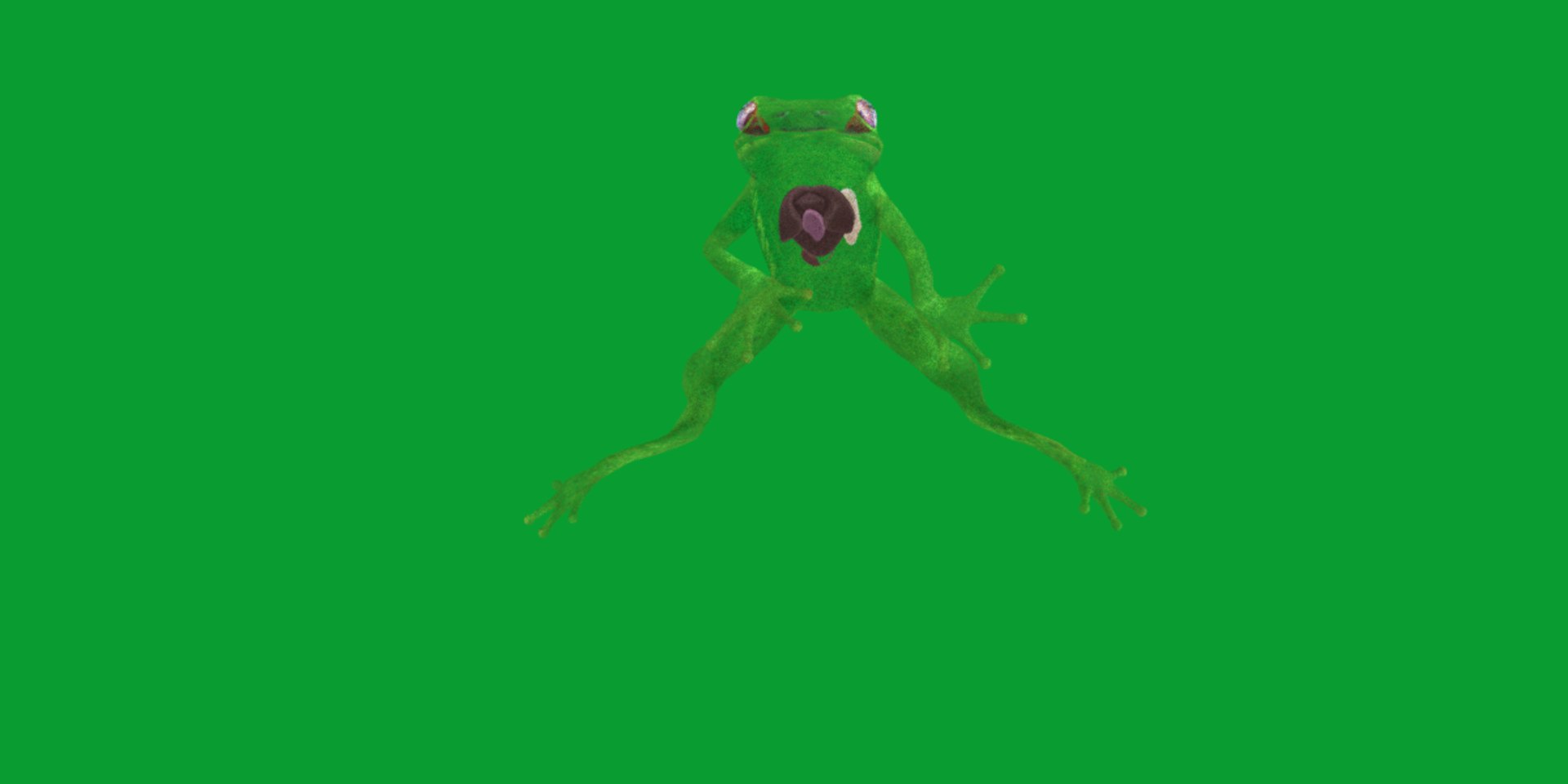 3D Glass Frog - TurboSquid 2378064