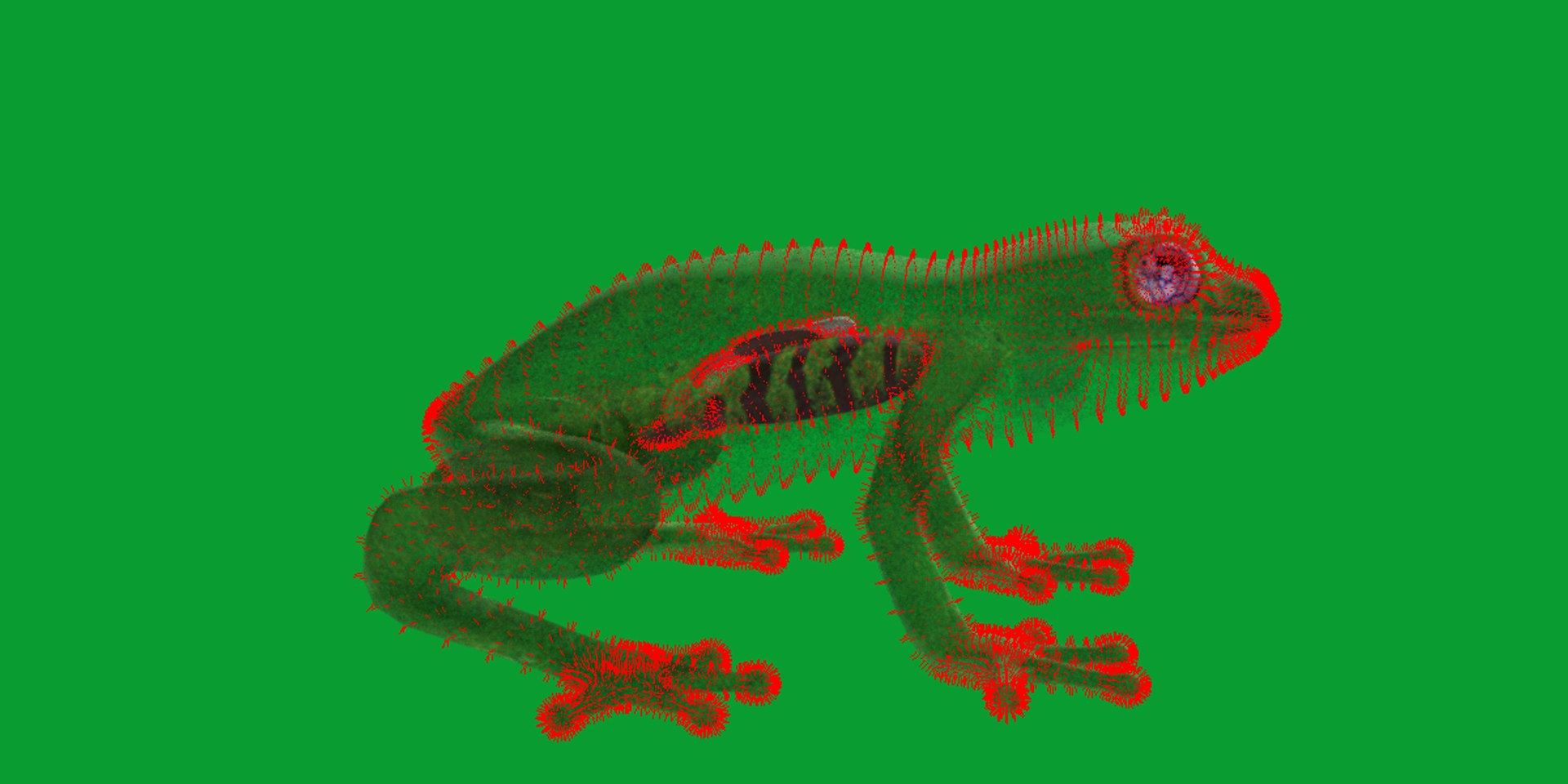 3D Glass Frog - TurboSquid 2378064