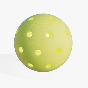 3D Outdoor Pickleball