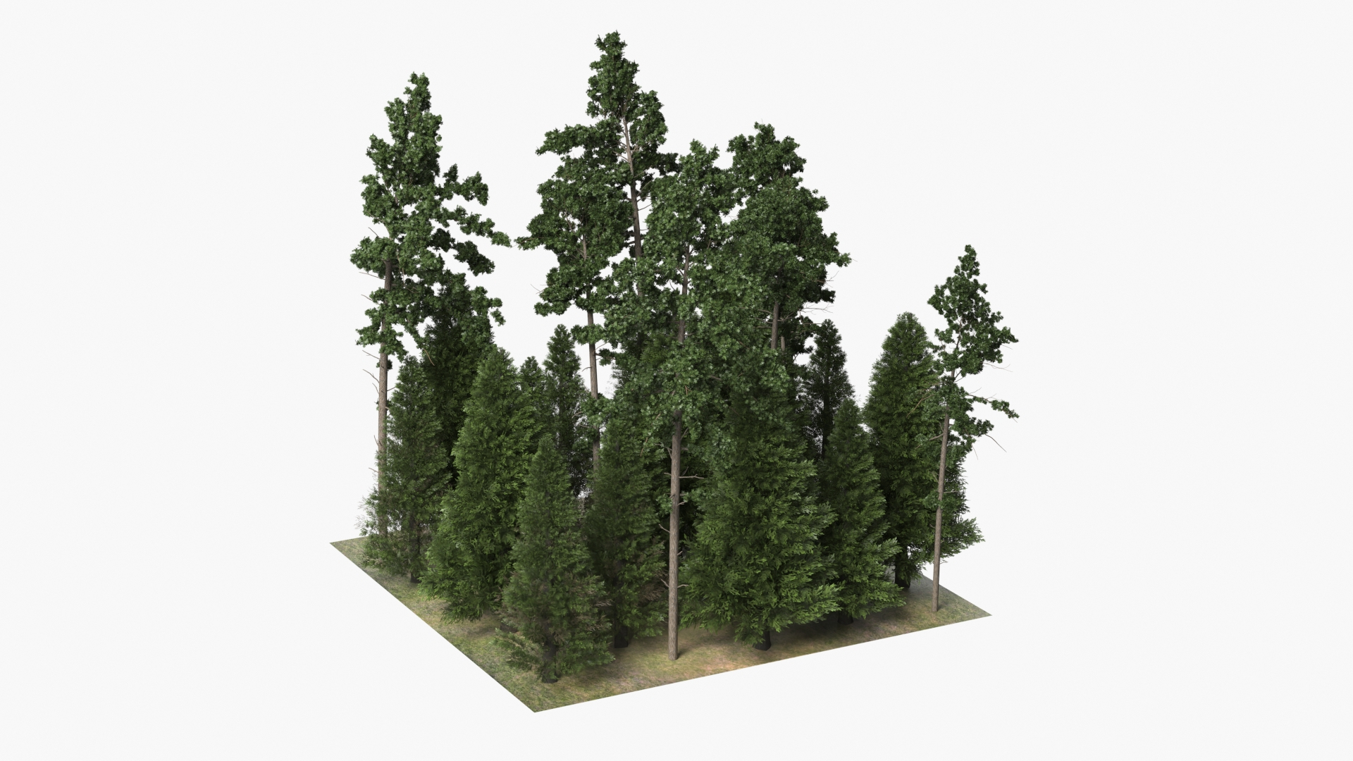 Low Poly Dense Conifer Forest Green 3D model https://p.turbosquid.com/ts-thumb/1n/VOdQaF/Hc/low_poly_dense_conifer_forest_green_360/jpg/1782467185/1920x1080/turn_fit_q99/fef09e9aa29a960507c02574c4a23f4d0e1e3553/low_poly_dense_conifer_forest_green_360-1.jpg