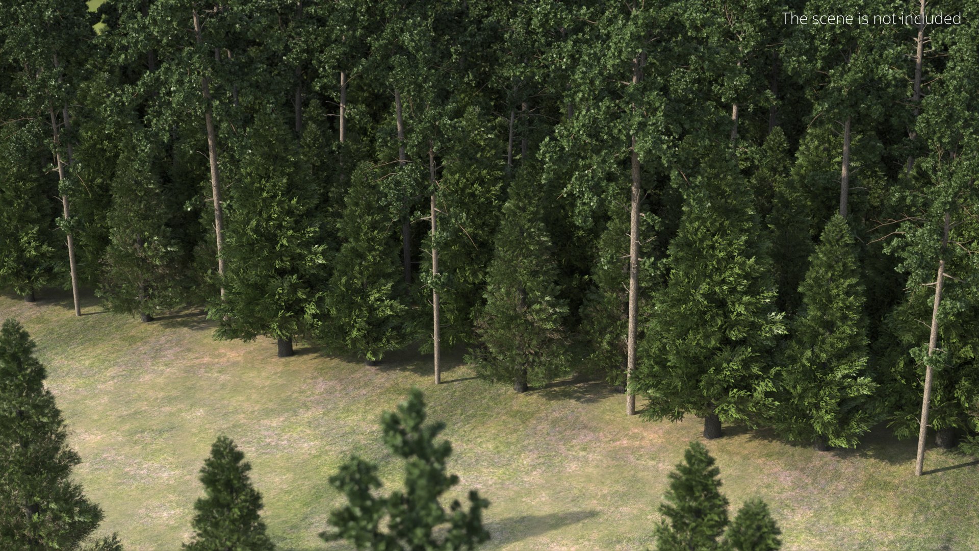 Low Poly Dense Conifer Forest Green 3D model https://p.turbosquid.com/ts-thumb/1n/VOdQaF/Jd/low_poly_dense_conifer_forest_green_004/jpg/1782467255/1920x1080/fit_q87/53ea70d2efd23c32371cecaee81af6a80d58f04b/low_poly_dense_conifer_forest_green_004.jpg