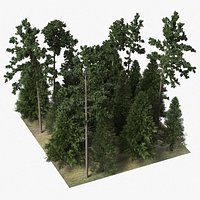 Low Poly Dense Conifer Forest Green