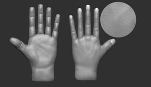 3D model realistic hand model