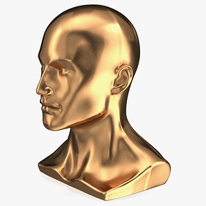 Male Mannequin Head Golden