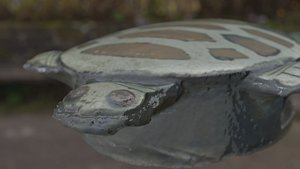 Turtle bottle opener