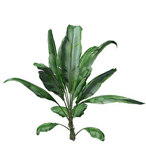 Banana Plant - 10 - 3D