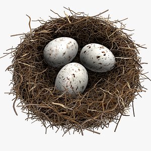 birds-nest modeled egg c4d