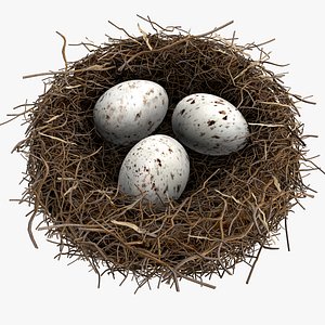 Birds-Nest