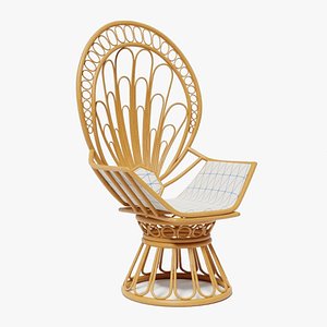 Rattan Chair model