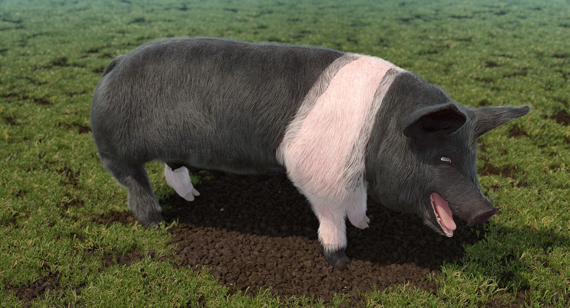 rigged farm animals big 3D model https://p.turbosquid.com/ts-thumb/1o/68NALx/0ZBsqjV5/riggedfarmanimalsbigcollection23dmodel014/jpg/1577594058/1920x1080/fit_q87/ddf2bceb520cd9bde973b84460a07b9d4150ca68/riggedfarmanimalsbigcollection23dmodel014.jpg