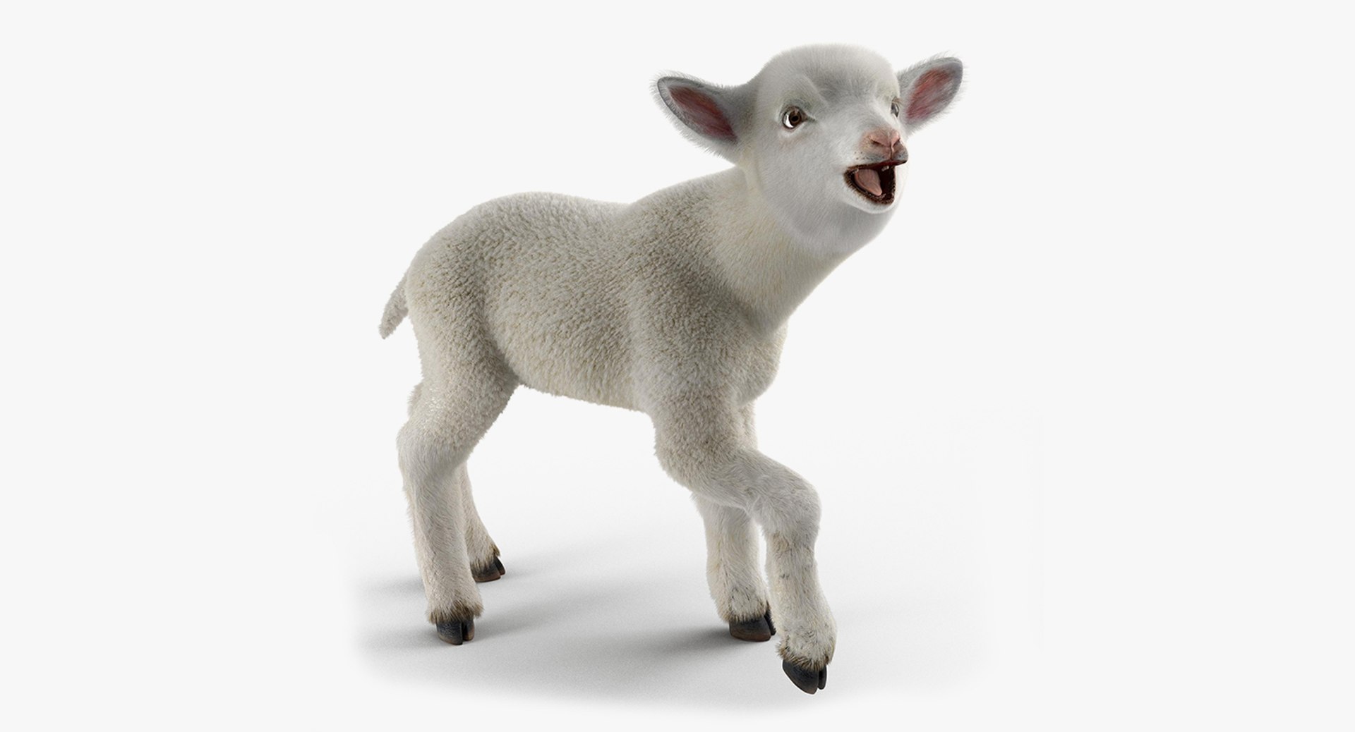 rigged farm animals big 3D model https://p.turbosquid.com/ts-thumb/1o/68NALx/1TWbyJPM/riggedfarmanimalsbigcollection23dmodel098/jpg/1577594060/1920x1080/fit_q87/509e5e271e159838f727813fe03f901d42259836/riggedfarmanimalsbigcollection23dmodel098.jpg