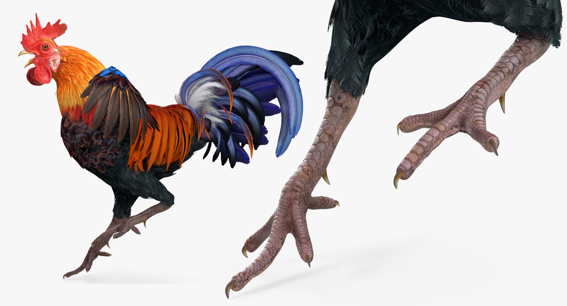 rigged farm animals big 3D model https://p.turbosquid.com/ts-thumb/1o/68NALx/3nFZshPm/riggedfarmanimalsbigcollection23dmodel096/jpg/1577594060/1920x1080/fit_q87/847df465c174e28fdd1e5ec754a3318bf539c92a/riggedfarmanimalsbigcollection23dmodel096.jpg
