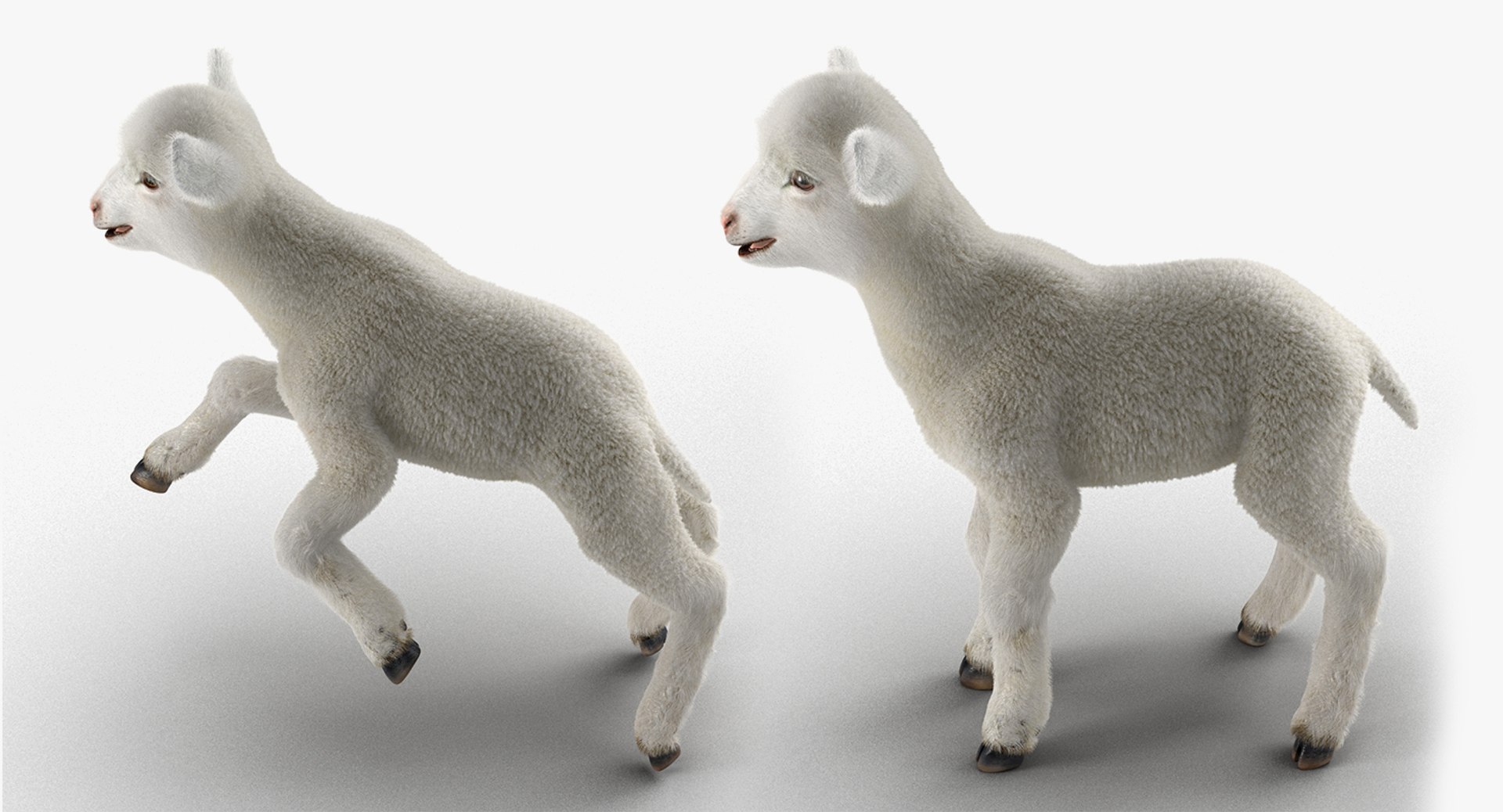 rigged farm animals big 3D model https://p.turbosquid.com/ts-thumb/1o/68NALx/5qHFKNhb/riggedfarmanimalsbigcollection23dmodel100/jpg/1577594060/1920x1080/fit_q87/49b612da11a40bb8c3a2659efffacf3127f4a850/riggedfarmanimalsbigcollection23dmodel100.jpg